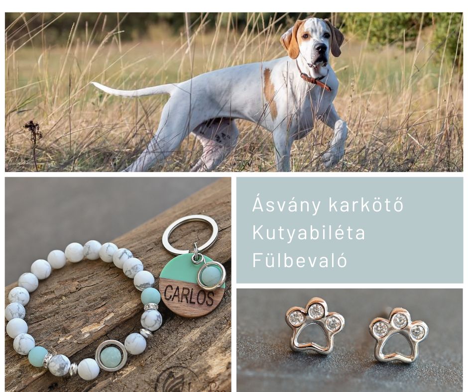 asvanykarkoto kutyabiletaval fulbevaloval